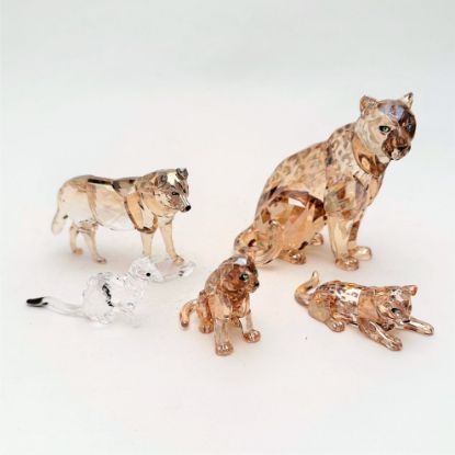 Picture of Swarovski - 2019 5-Piece Scs Member Figurine Set.