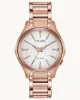 Picture of Modena Ladies Eco-Drive by Citizen 