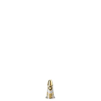 Picture of New Salt Shaker