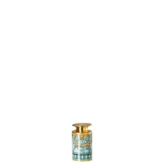 Picture of New Salt Shaker