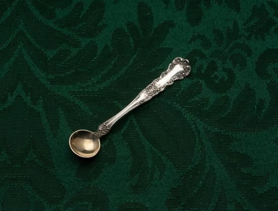 Picture of Ind. Salt Spoon