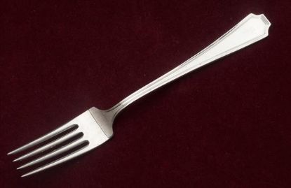 Picture of Place Forks