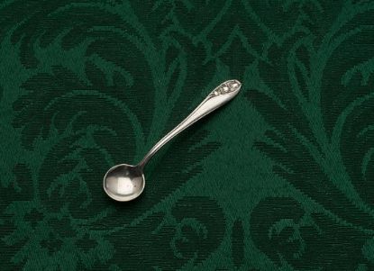 Picture of Ind. Salt Spoon