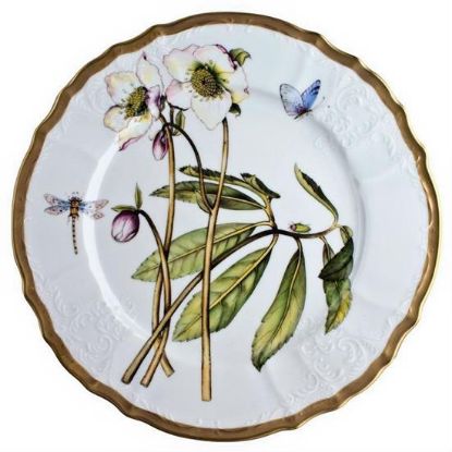 Picture of New Dinner Plate