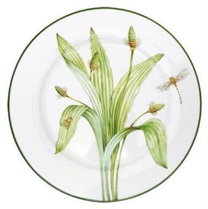 Picture of New Dinner Plate