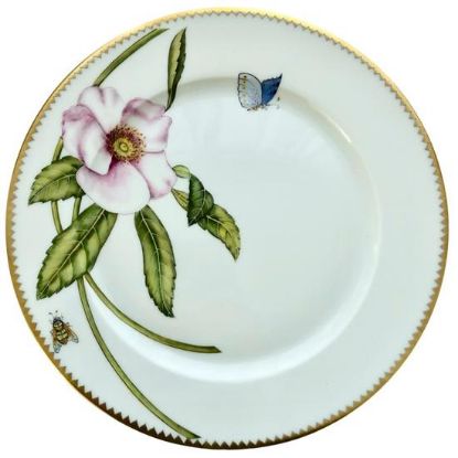 Picture of New Dinner Plate