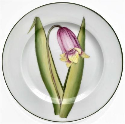 Picture of New Salad Plates