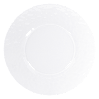 Picture of New Service Plate 12"