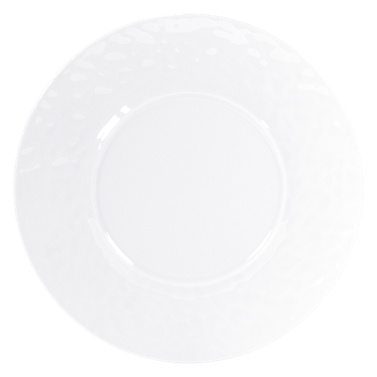 Picture of New Service Plate 12"