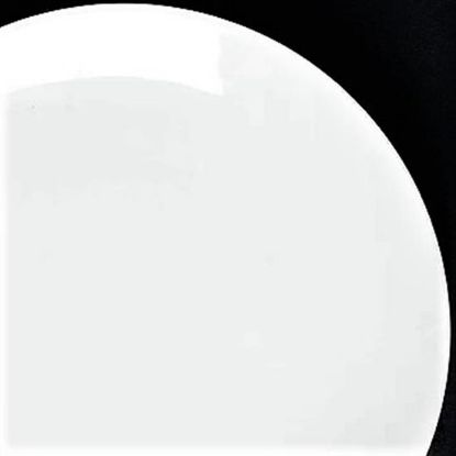 Picture of Dinner Plates