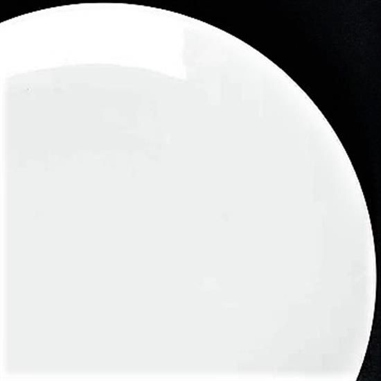 Picture of Dinner Plates