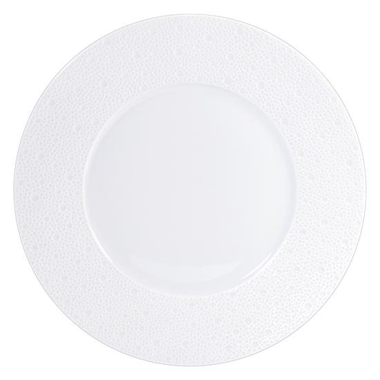 Picture of New Dinner Plate