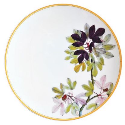Picture of New Salad Plates