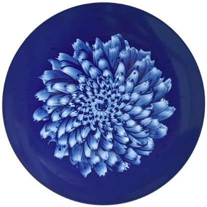 Picture of New Service Plate 12"