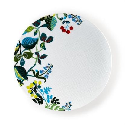 Picture of New Salad Plates