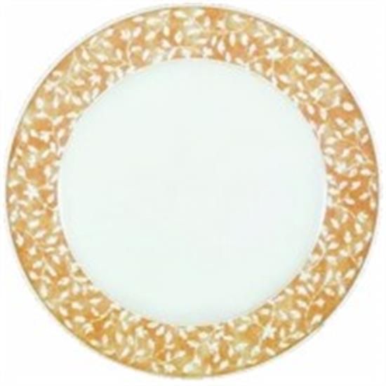 Picture of Dinner Plates