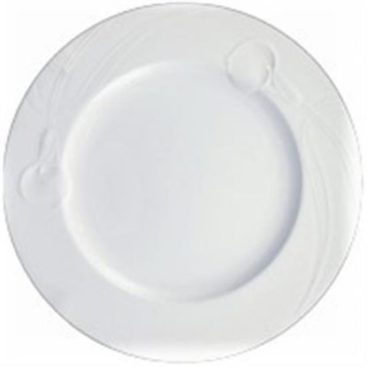 Picture of Dinner Plates