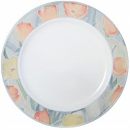 Picture of Dinner Plates