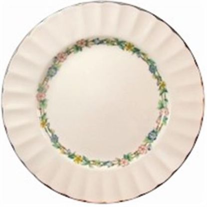 Picture of Dinner Plates