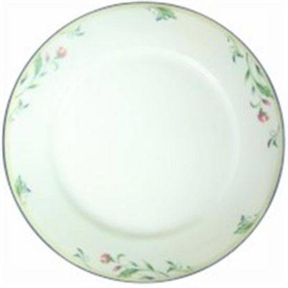 Picture of Dinner Plates