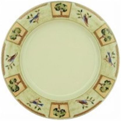 Picture of Dinner Plates