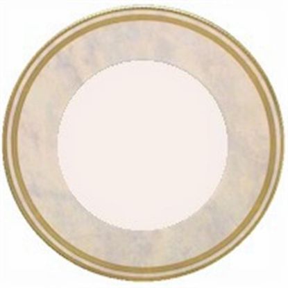 Picture of Dinner Plates