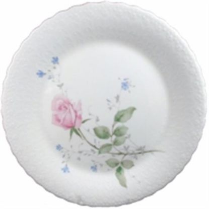 Picture of Dinner Plates