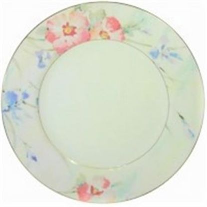 Picture of Dinner Plates
