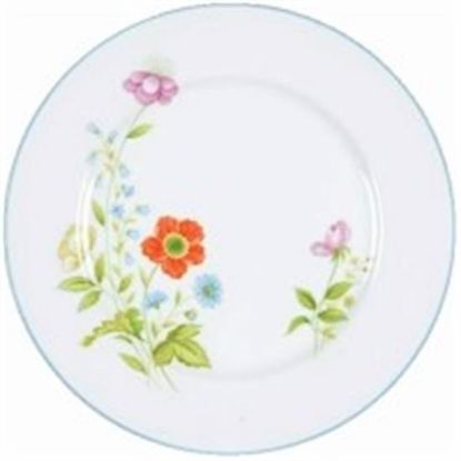 Picture of Dinner Plates