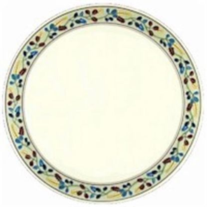 Picture of Dinner Plates