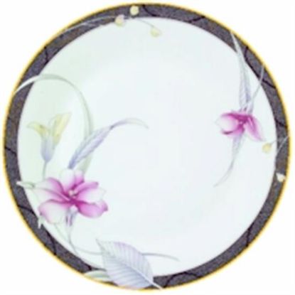 Picture of Dinner Plates