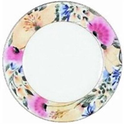 Picture of Dinner Plates