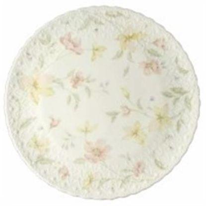 Picture of Dinner Plates