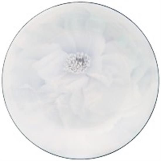 Picture of Dinner Plates