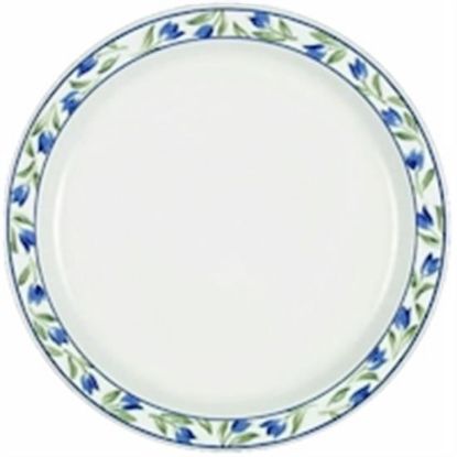 Picture of Dinner Plates