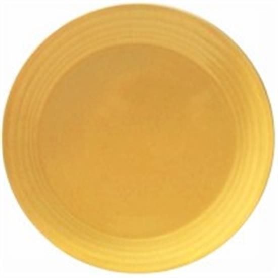 Picture of New Dinner Plate