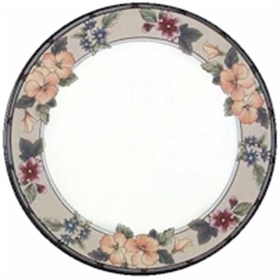 Picture of Dinner Plates