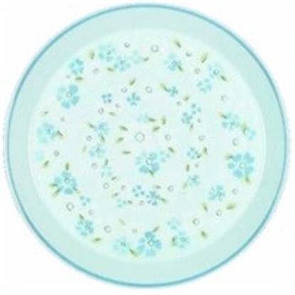 Picture of Dinner Plates