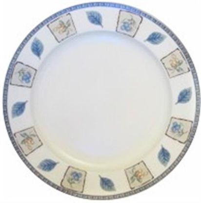 Picture of Dinner Plates