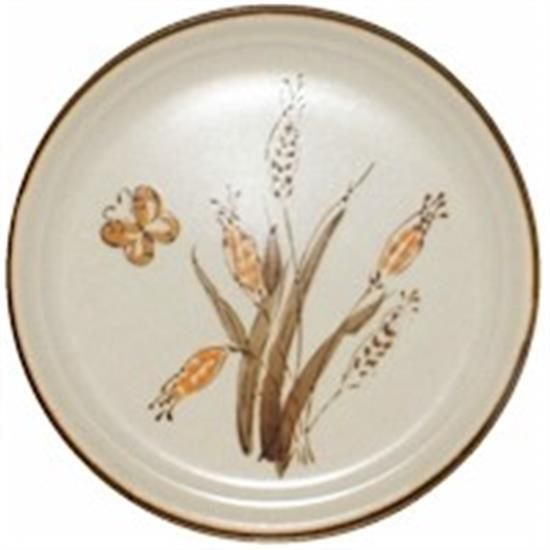 Picture of Dinner Plates