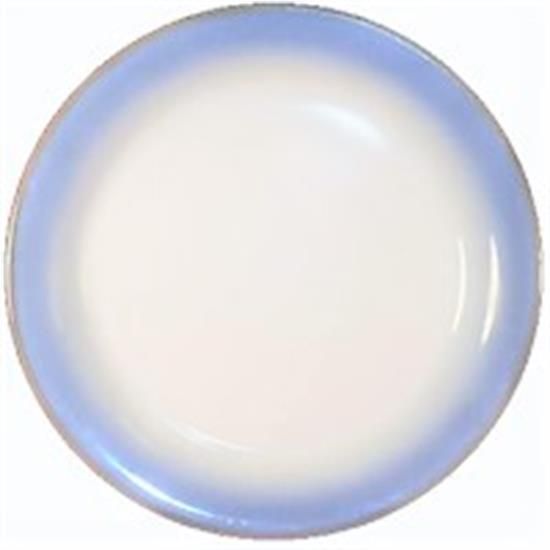Picture of Dinner Plates