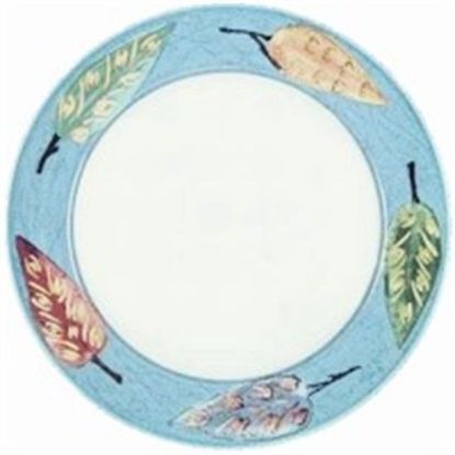 Picture of Dinner Plates