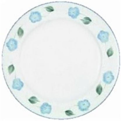 Picture of Dinner Plates