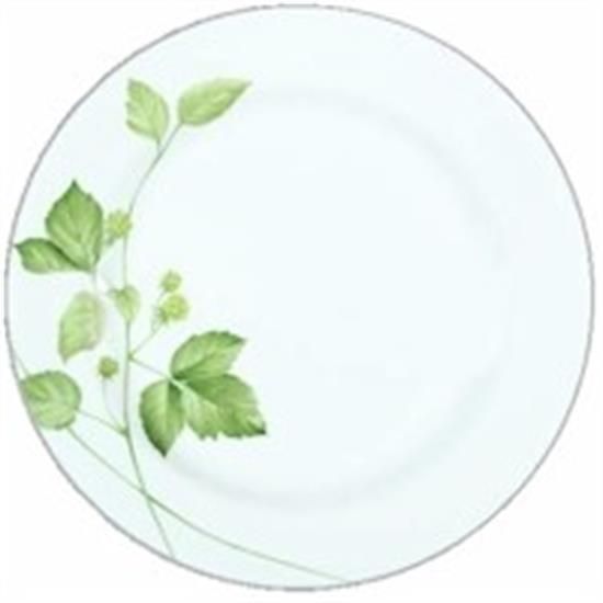 Picture of Dinner Plates