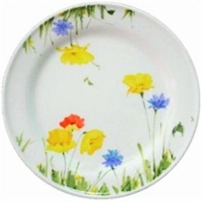 Picture of Dinner Plates