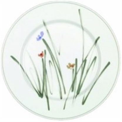 Picture of Dinner Plates