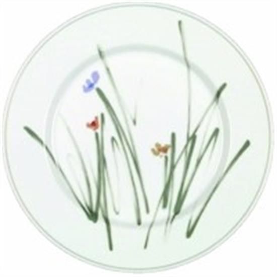 Picture of Dinner Plates