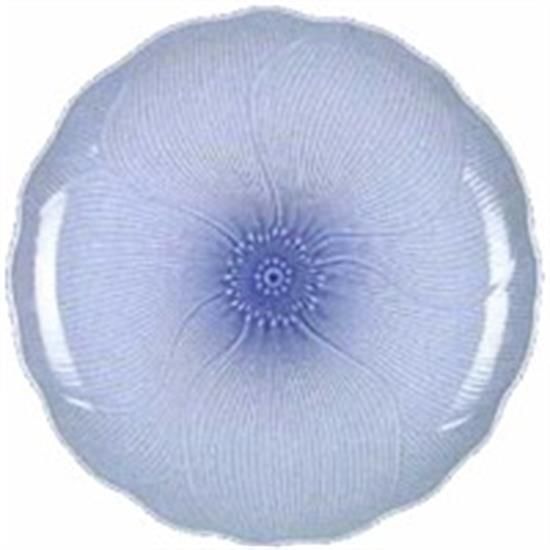 Picture of Dinner Plates