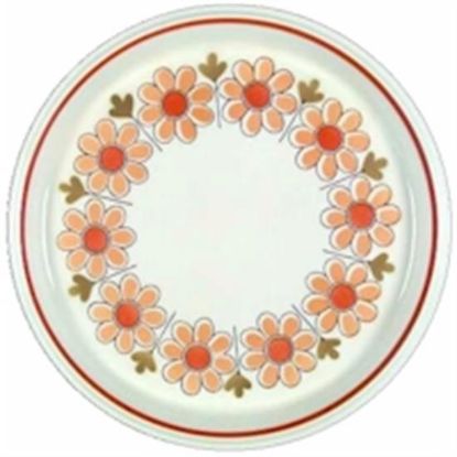 Picture of Dinner Plates