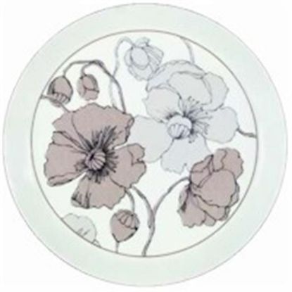 Picture of Dinner Plates
